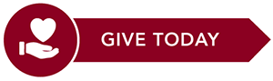 give today icon